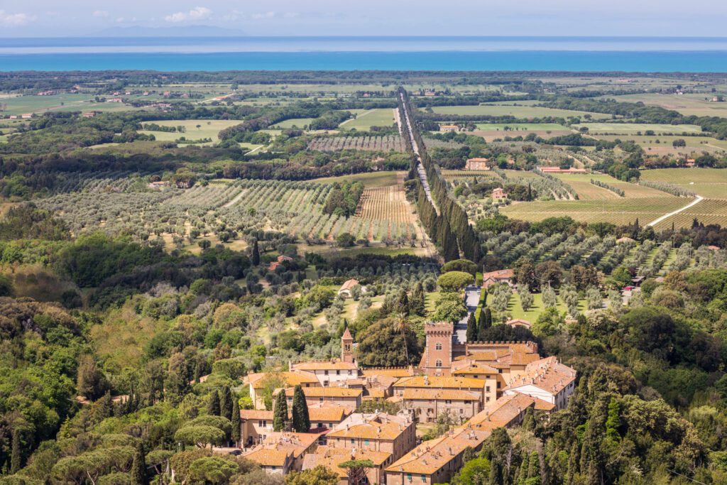 Bolgheri, a small village at the foot of the hills, overlooking the sea. 
with the famous Viale dei Cipressi that cuts through the lowlands.